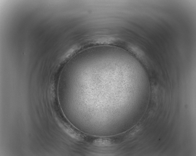 X0000079320354200611251810