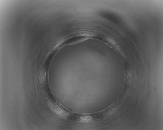 X0000079320355200611251810