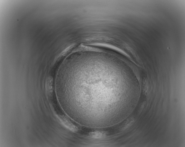 X0000079320356200611251810