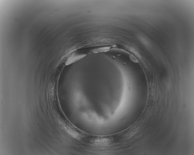 X0000079320357200611251810