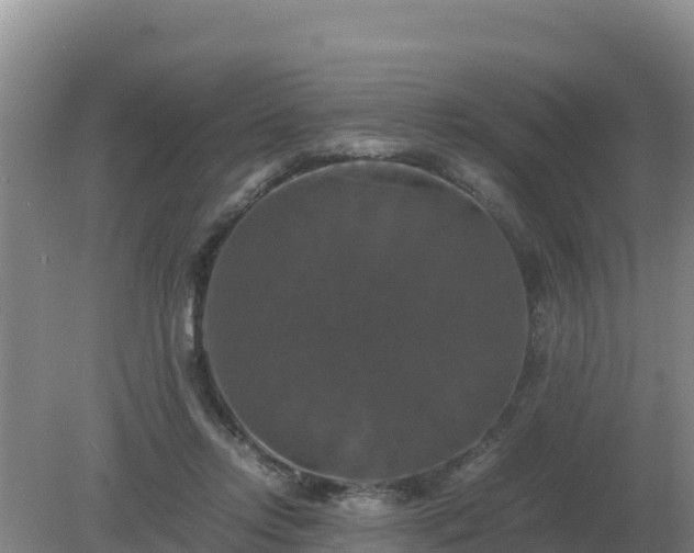 X0000079320358200611251810