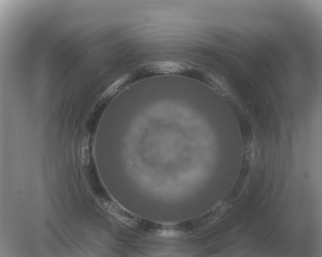 X0000079320360200611251810