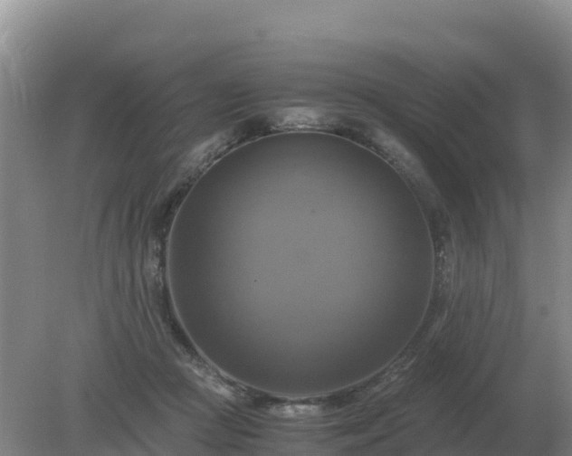 X0000079320361200611251810