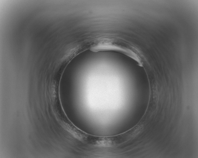 X0000079320362200611251810