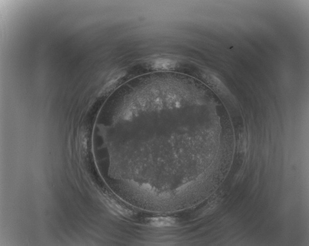 X0000079320363200611251810