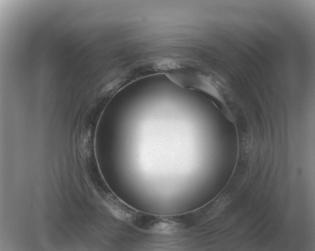 X0000079320364200611251810