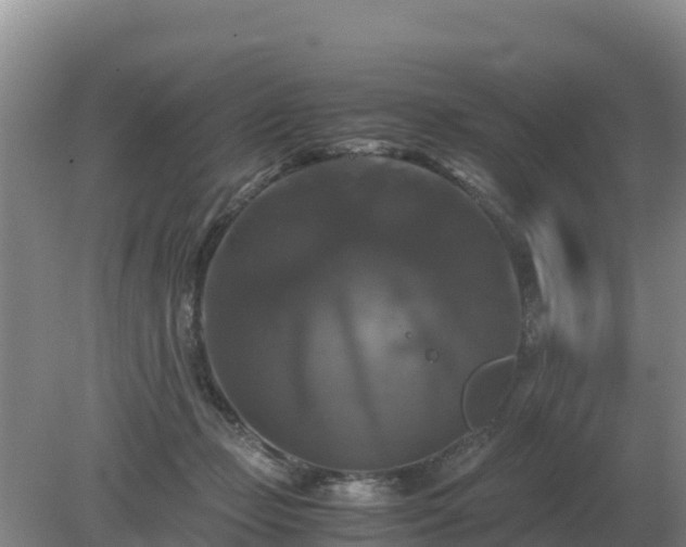 X0000079320365200611251810