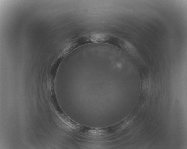 X0000079320367200611251811