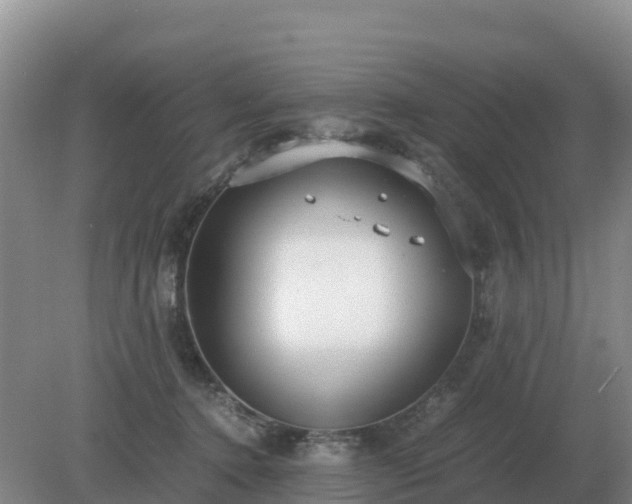 X0000079320368200611251811