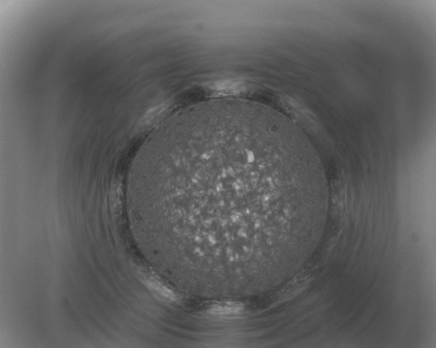 X0000079320369200611251811