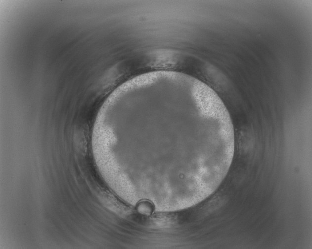 X0000079320370200611251811