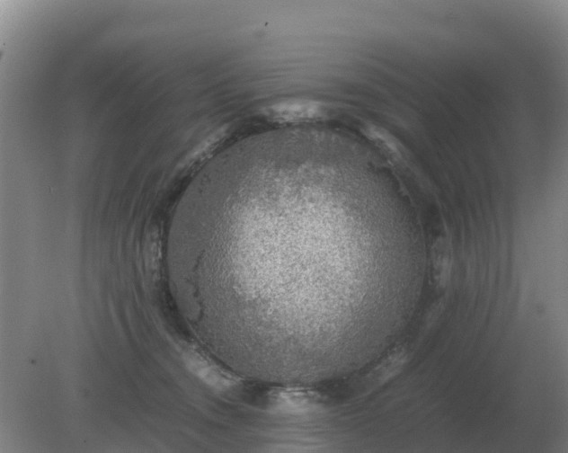 X0000079320372200611251811