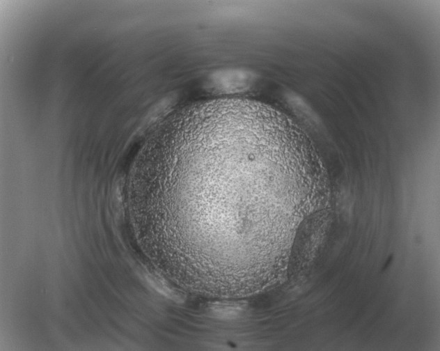 X0000079320373200611251811