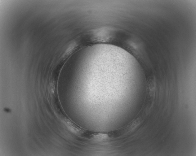 X0000079320374200611251811