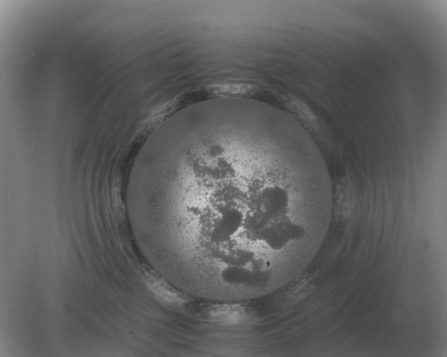 X0000079320377200611251811