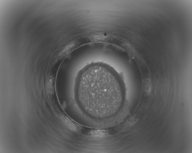 X0000079320378200611251811