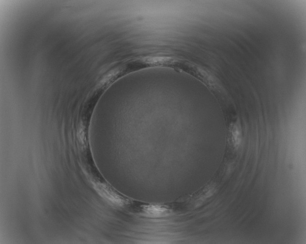 X0000079320380200611251811