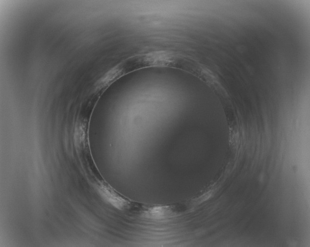 X0000079320382200611251811