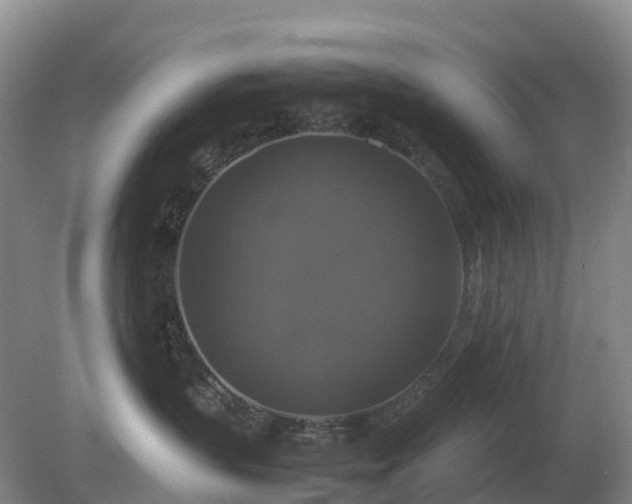 X0000079320383200611251811