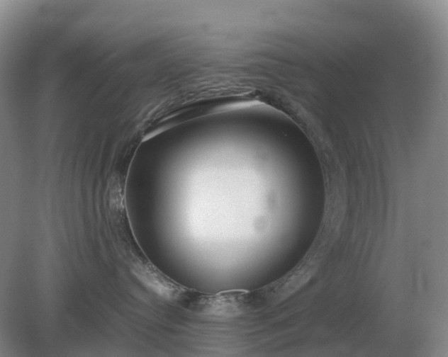 X0000079320384200611251811