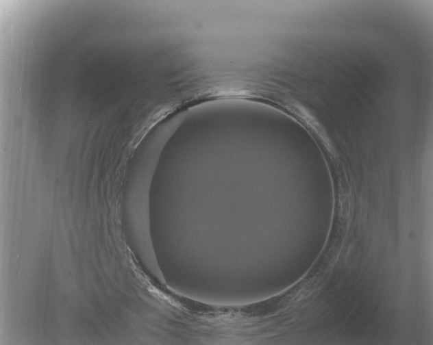 X0000079320385200611251810