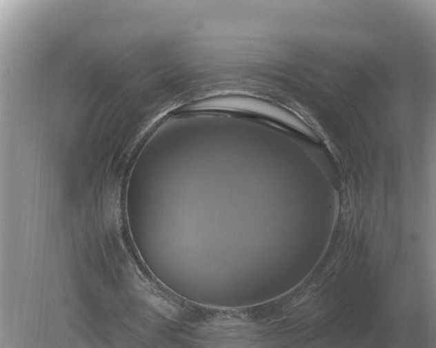 X0000079320386200611251810