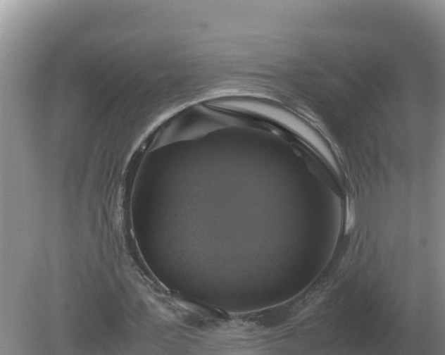 X0000079320387200611251810