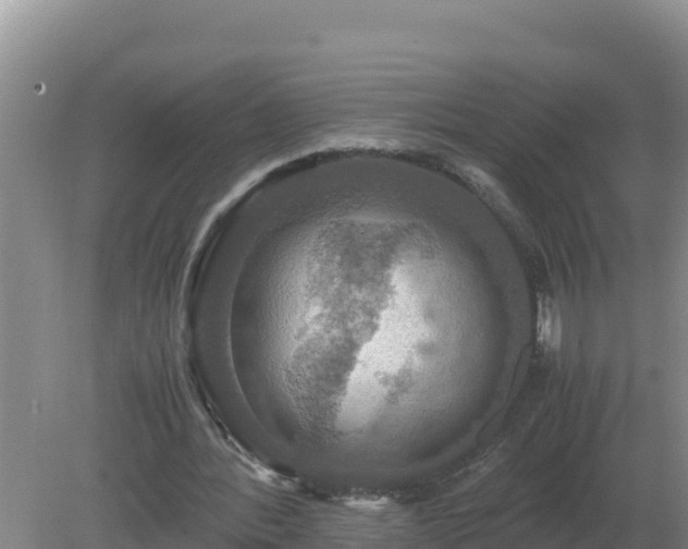 X0000079320388200611251810