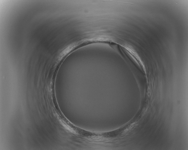 X0000079320389200611251810