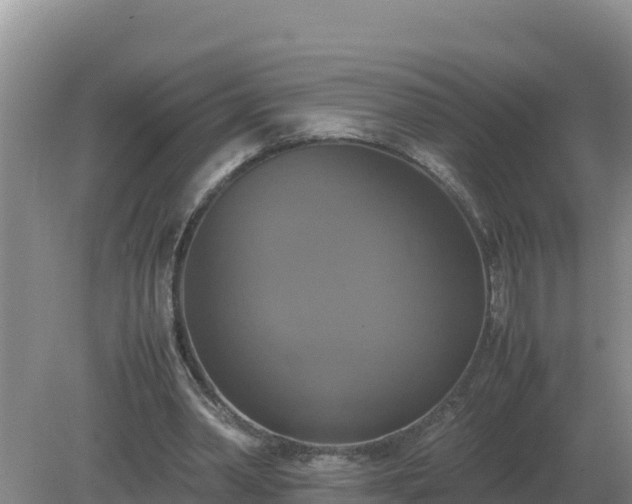 X0000079320390200611251810