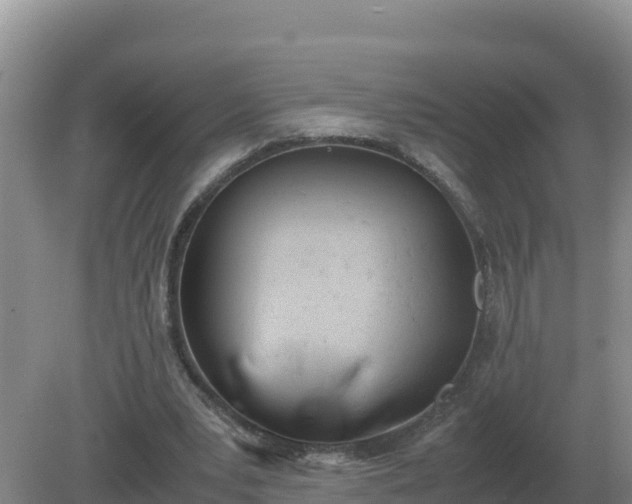 X0000079320391200611251810