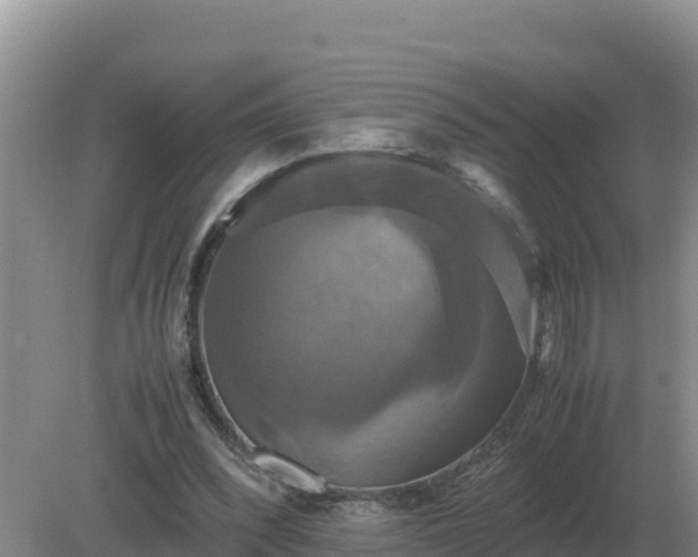 X0000079320392200611251810