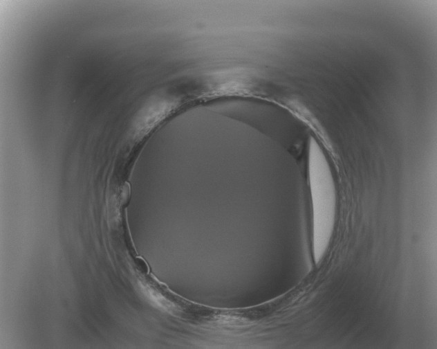 X0000079320393200611251810