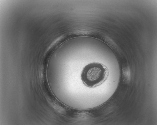 X0000079320396200611251810