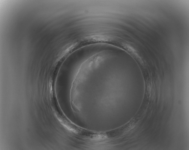 X0000079320398200611251810