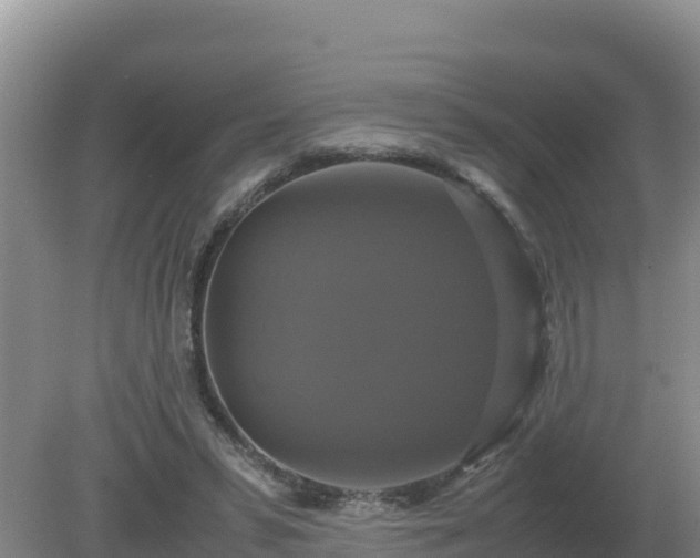 X0000079320399200611251810