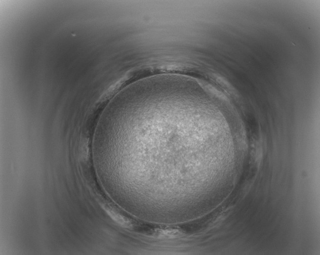 X0000079320401200611251810