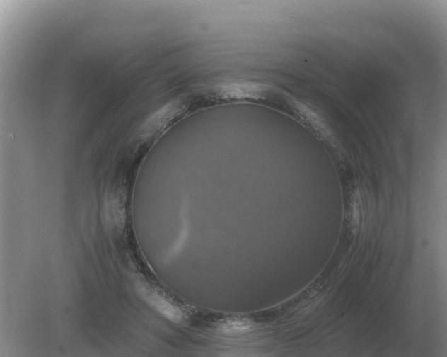 X0000079320402200611251810