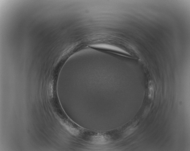 X0000079320404200611251810