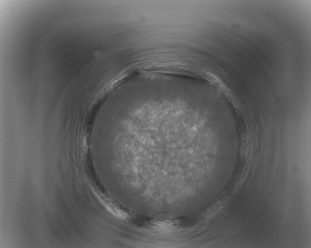 X0000079320405200611251810