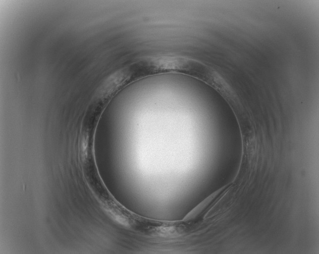 X0000079320406200611251810