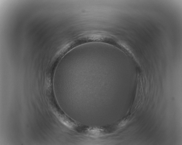 X0000079320407200611251810