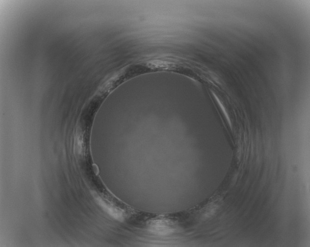 X0000079320408200611251810