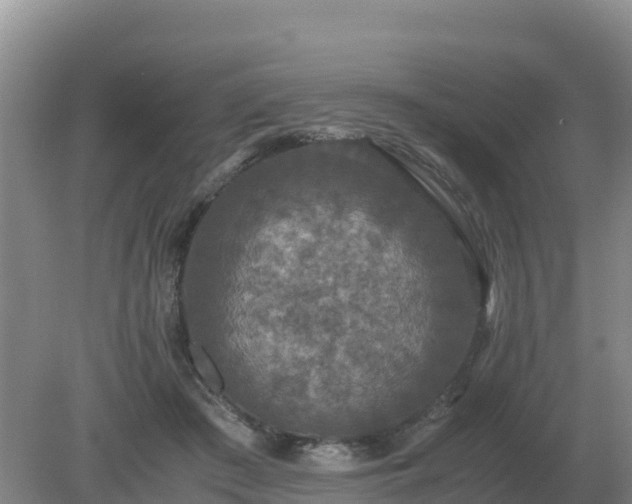 X0000079320409200611251810