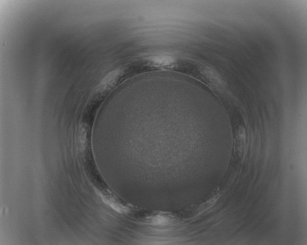 X0000079320412200611251810