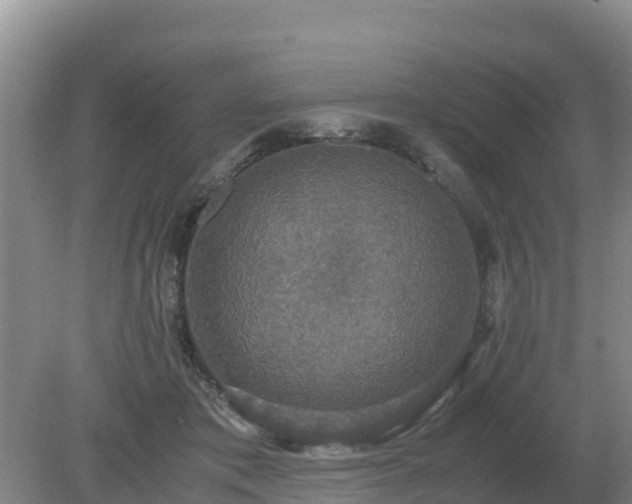 X0000079320413200611251810