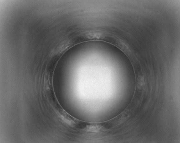 X0000079320414200611251810