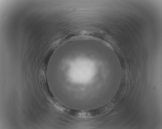 X0000079320415200611251809