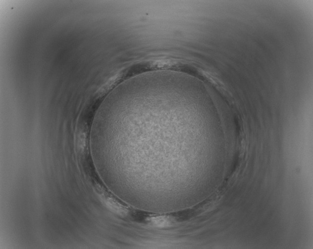 X0000079320417200611251809