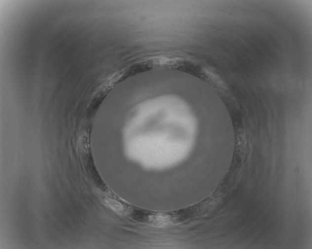 X0000079320419200611251809